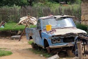 Chickens, fur coats and other paraphernalia