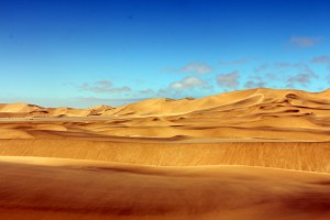 The Namib Desert